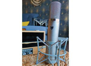 Griffon Microphones GMT-12 (19813)
