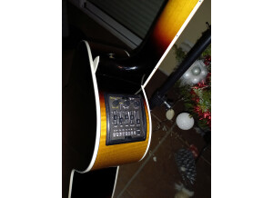 Takamine P6N