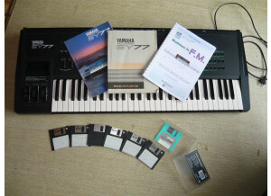 Alain Cassagnau Maîtrisez la FM (61920)