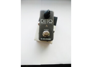 TC Electronic Ditto Looper (89901)