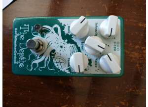 EarthQuaker Devices The Depths