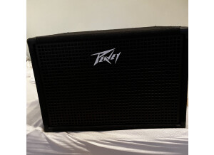 Peavey Headliner 210