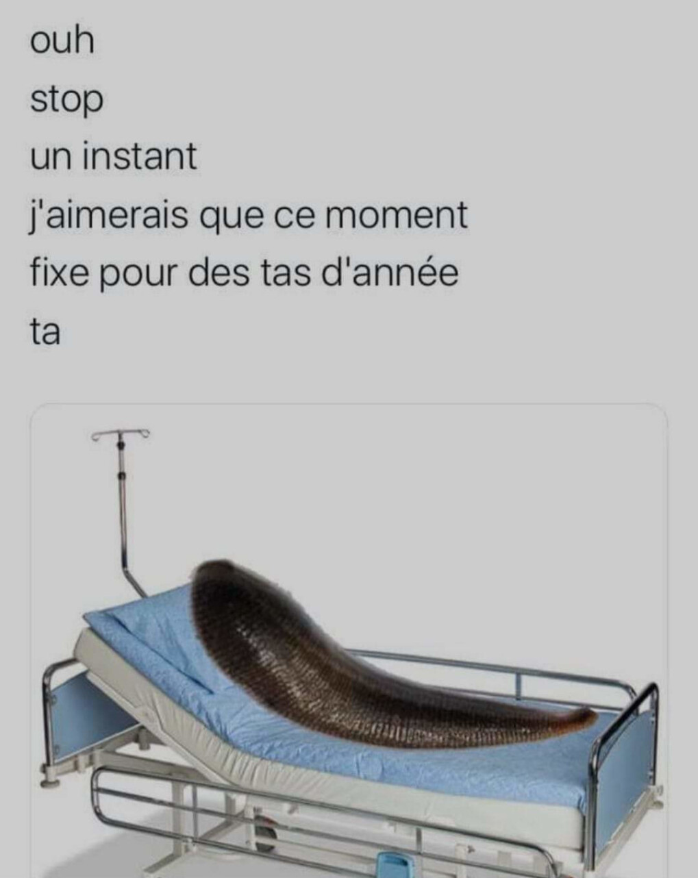4122840.jpeg 4122840.jpeg