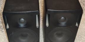 Paire de genelec 1029 active monitoring