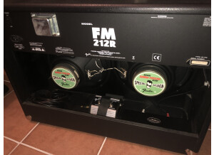 Fender FM 212R