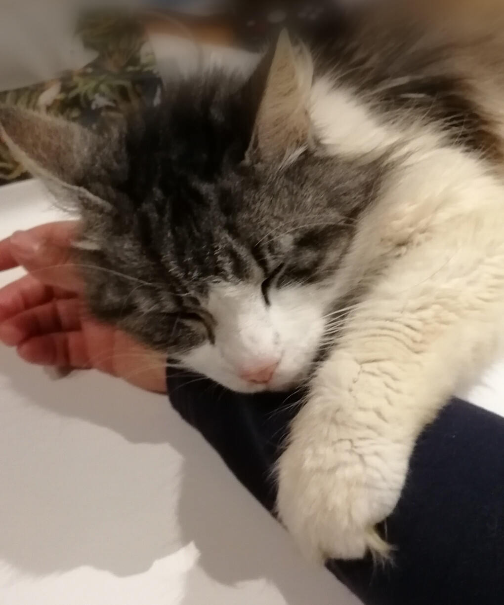 4130430.jpg 4130430.jpg