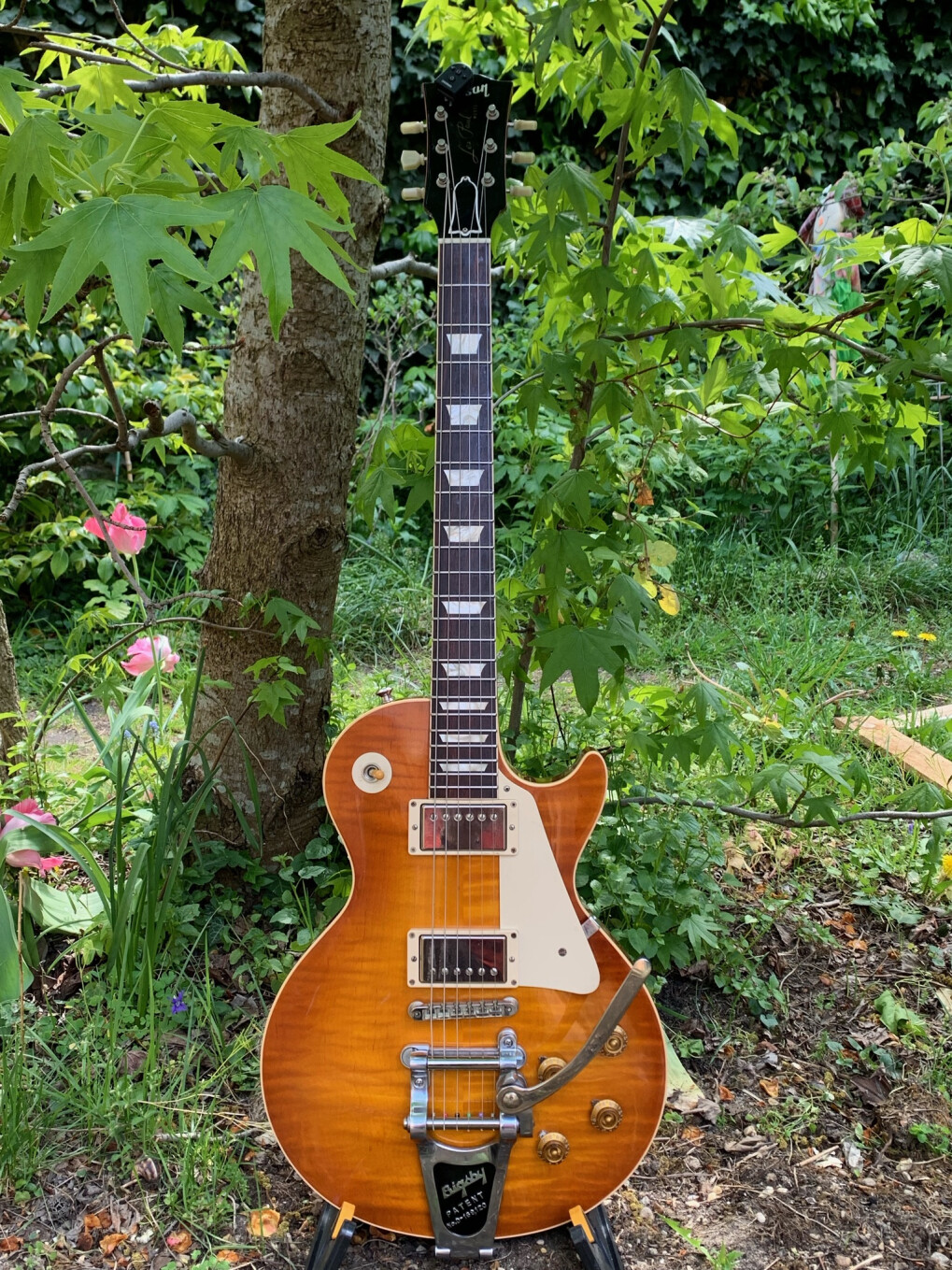 4131276.jpeg 4131276.jpeg