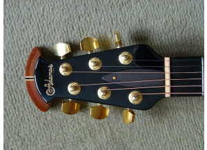 Adamas Guitars W597 CB