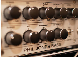 Phil Jones Bass D-600