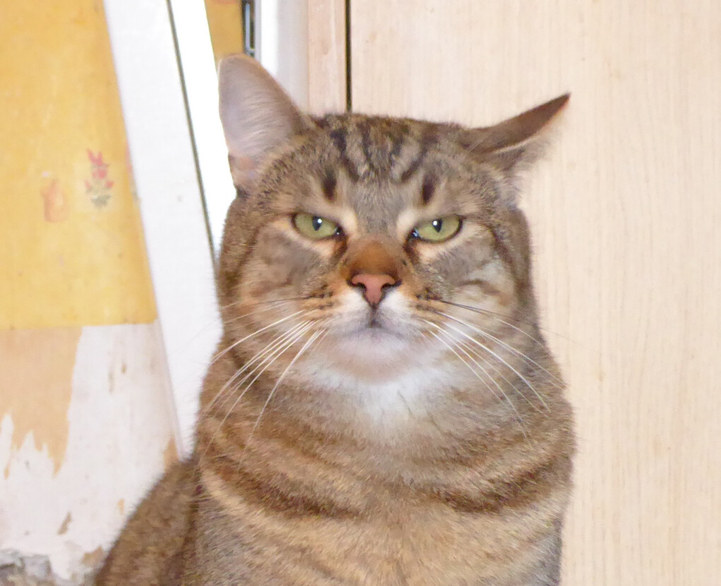 4138002.jpg 4138002.jpg