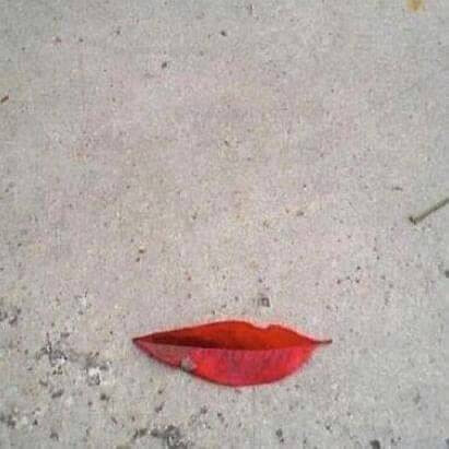 4138041.jpg 4138041.jpg