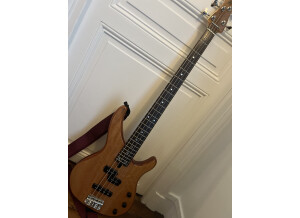 Yamaha TRBX174EW (13550)