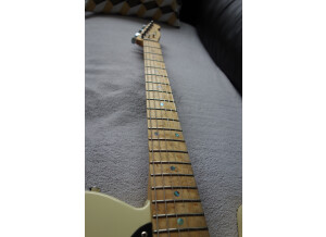 Fender Special Edition Lite Ash Telecaster (54715)