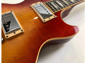 Gibson Les Paul Standard Plus (64944)