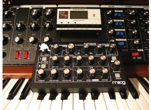 Moog Music Minitaur (96048)
