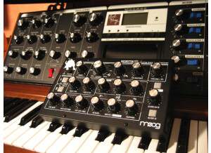 Moog Music Minitaur (55773)