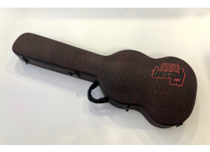 Gibson SG Voodoo (44060)