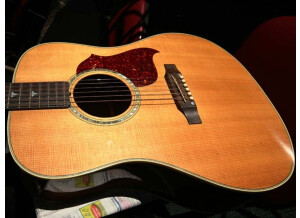 Gibson Songbird Deluxe (12652)