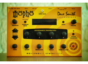 Dave Smith Instruments Mopho (82914)