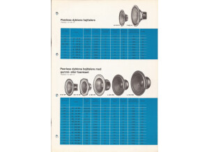 Bang & Olufsen Beovox 2702 (85779)