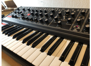 Moog Music Matriarch (34244)