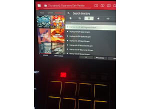 Akai Professional MPC X (42961)