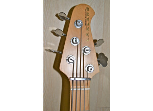 Lakland skyline 55-02 deluxe