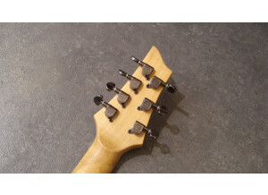 Schecter Demon-7 (63183)