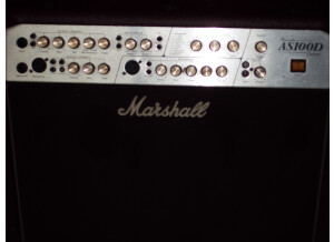 Marshall [Acoustic Soloist Series] AS100D