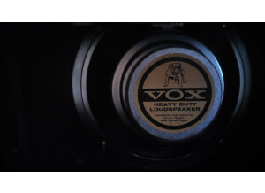 Vox Pathfinder 15R