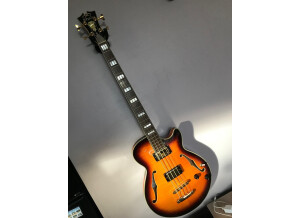 D'angelico Excel Bass