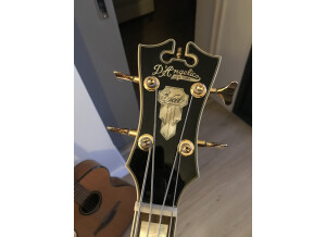 D'angelico Excel Bass