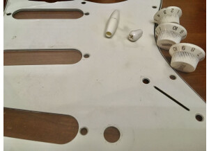 Fender Custom Shop Time Machine '60 Relic Stratocaster (24749)