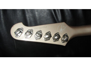 Epiphone Joe Bonamassa "Treasure" Firebird-I Outfit (46801)