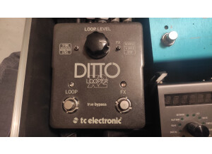 TC Electronic Ditto X2 (69976)