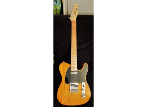 Wizard Guitars Simone (style telecaster 50's) (55230)
