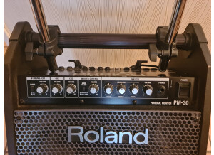 Roland PM-30