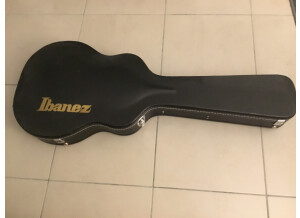 Ibanez JSM10 (98177)