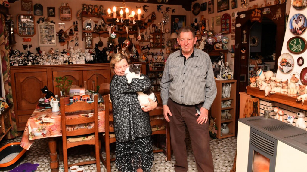 4178774.jpg 4178774.jpg