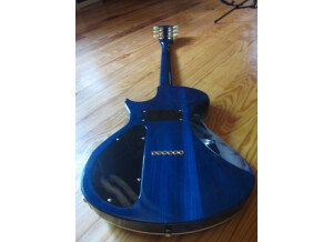 Gibson BluesHawk (77681)
