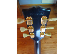 Gibson BluesHawk (39083)