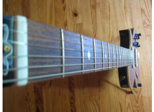 Gibson BluesHawk (24736)