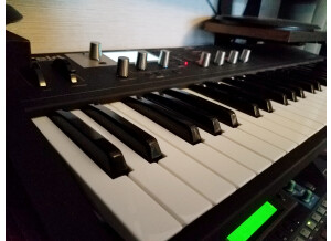 Waldorf Blofeld Keyboard (28337)
