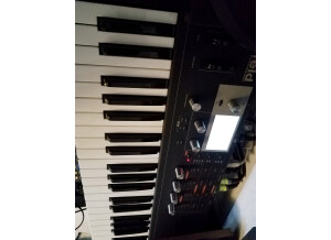 Waldorf Blofeld Keyboard (3251)