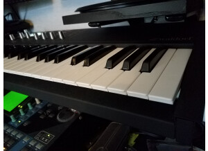 Waldorf Blofeld Keyboard (42088)