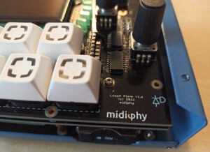 Midiphy LoopA (48949)