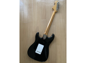 Fender ST72-xx (60608)