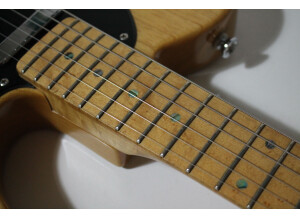 Fender Special Edition Lite Ash Telecaster (47726)