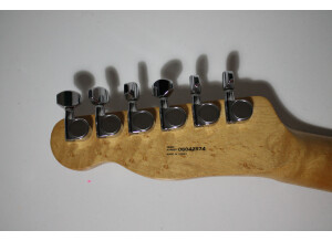 Fender Special Edition Lite Ash Telecaster (42526)