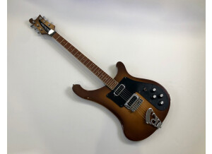 Rickenbacker 480 (80335)